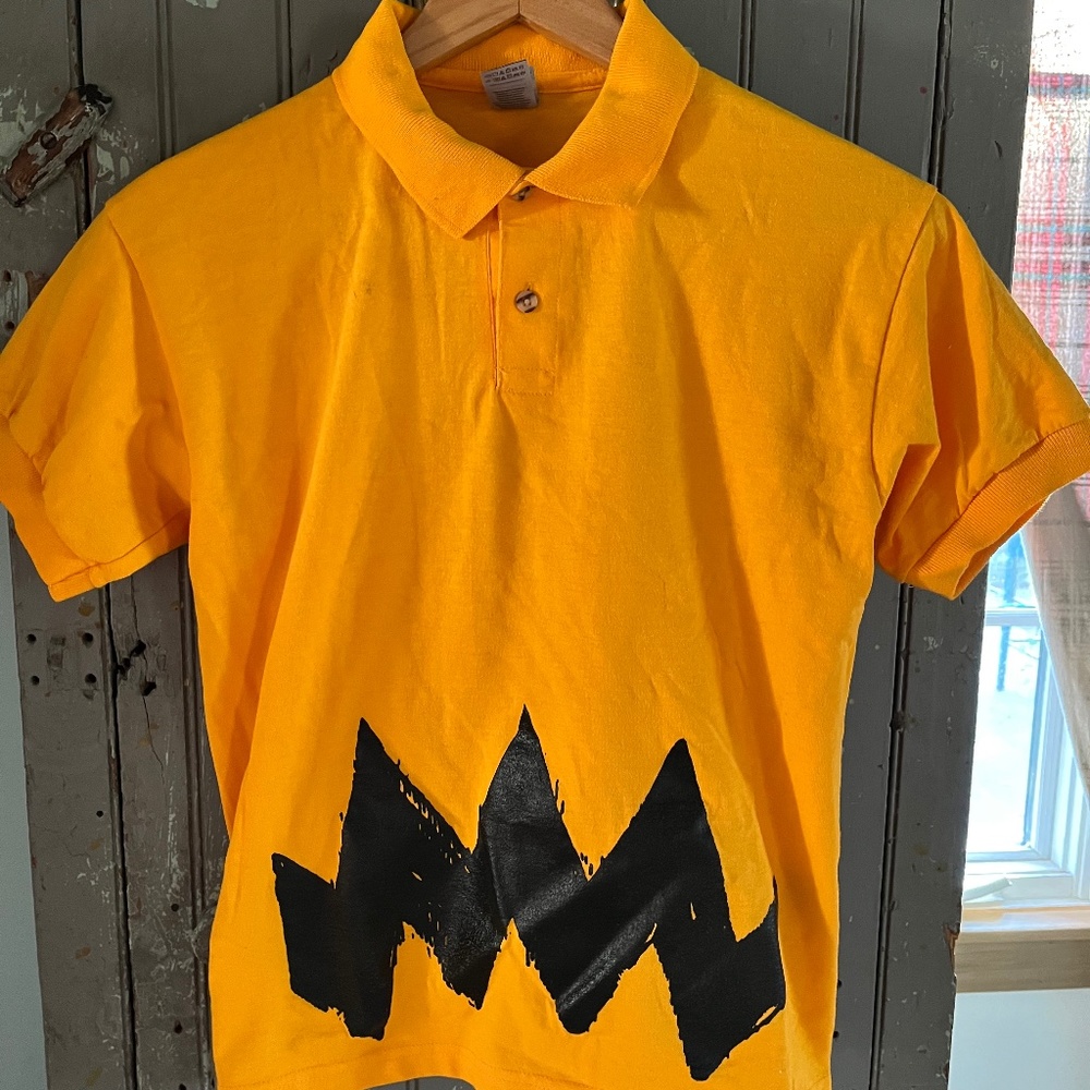 Boys Charlie Brown Peanuts polo shirt